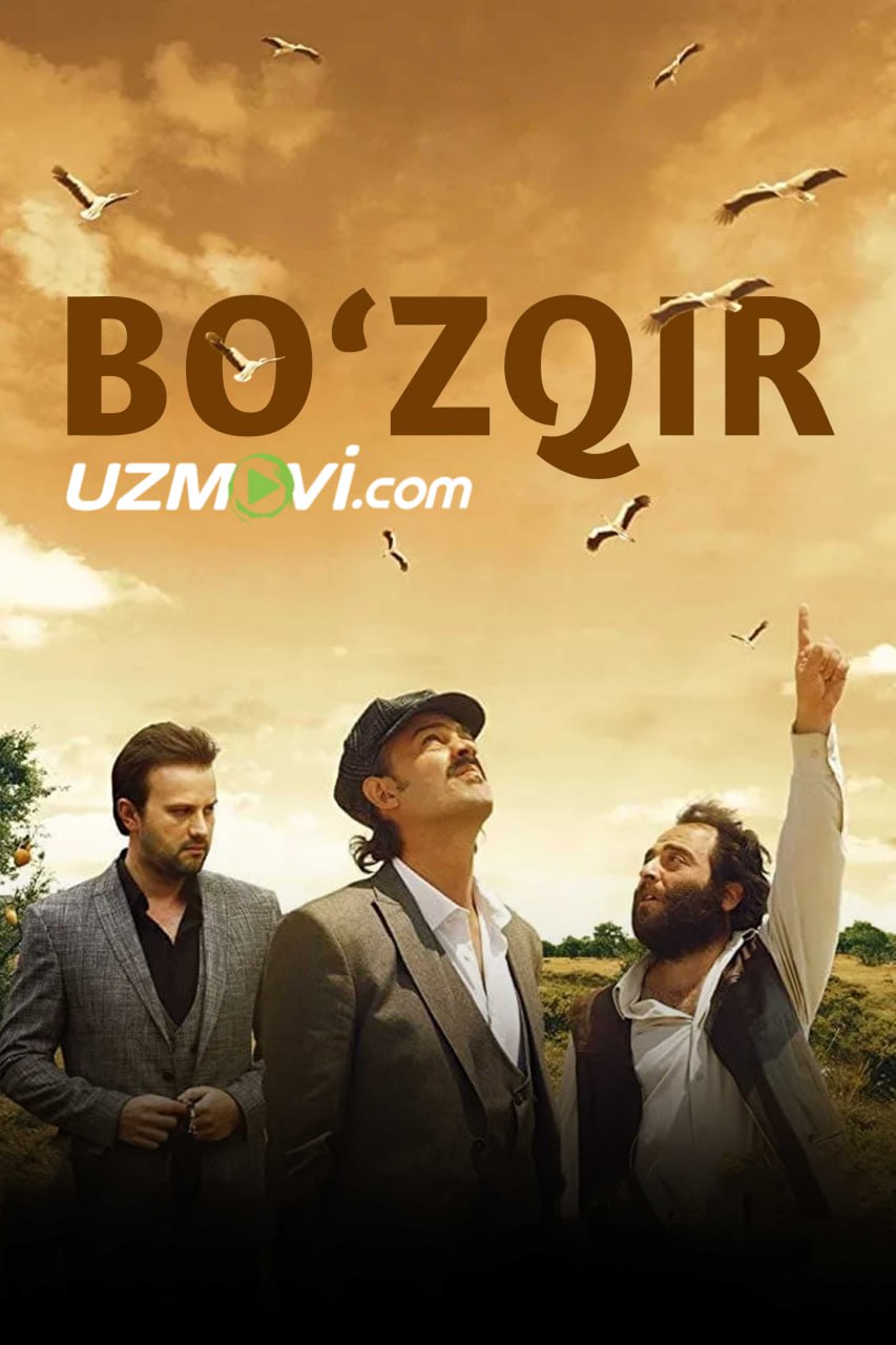 Bo'zqir premyera turk kino